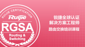 RGSA-Routing and Switching