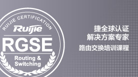 RGSE-Routing and Switching